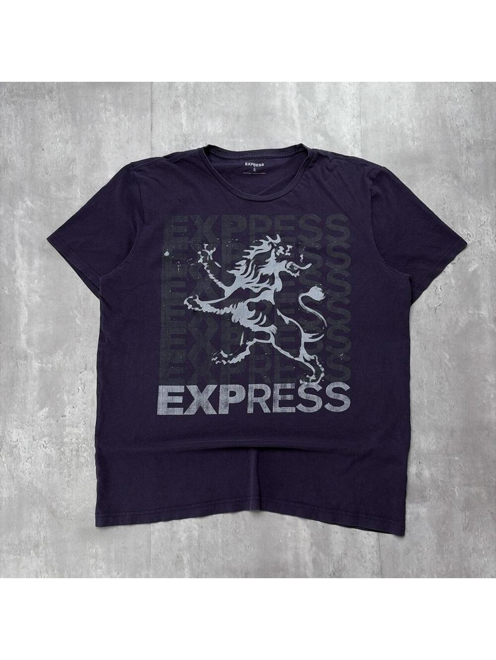 Y2K Purple Express Grunge Gothic Distressed Skater T-Shirt